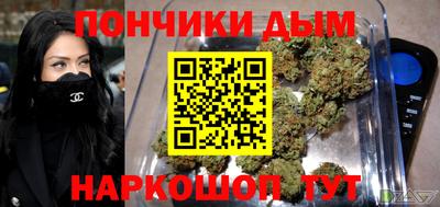 шишки Абакан