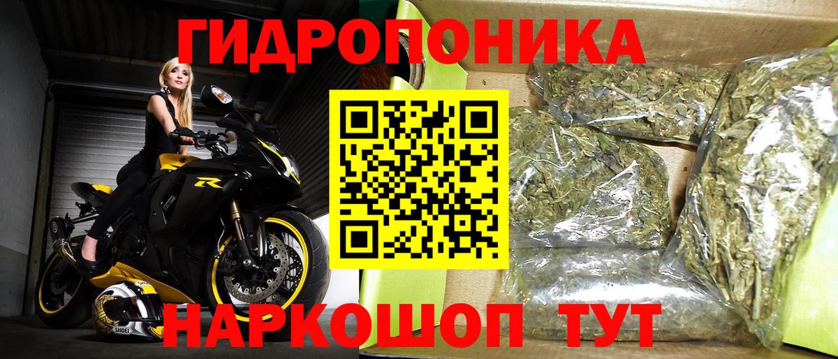 Марихуана семена  Артём  Каннабис MAZAR  Конопля тримм 